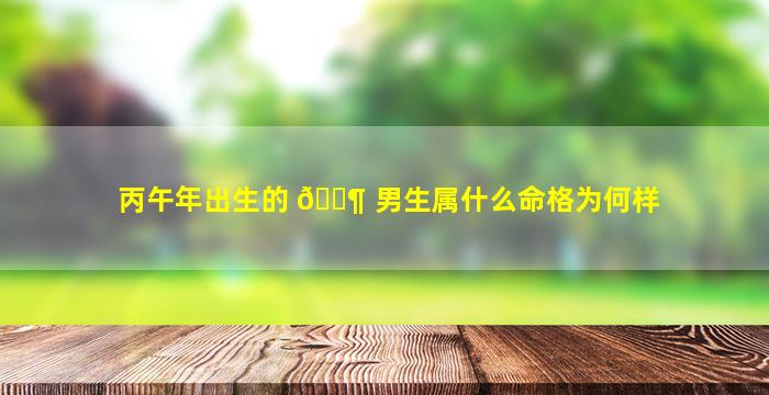 丙午年出生的 🐶 男生属什么命格为何样